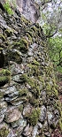 Plants: image 77 Of 208 Thumb